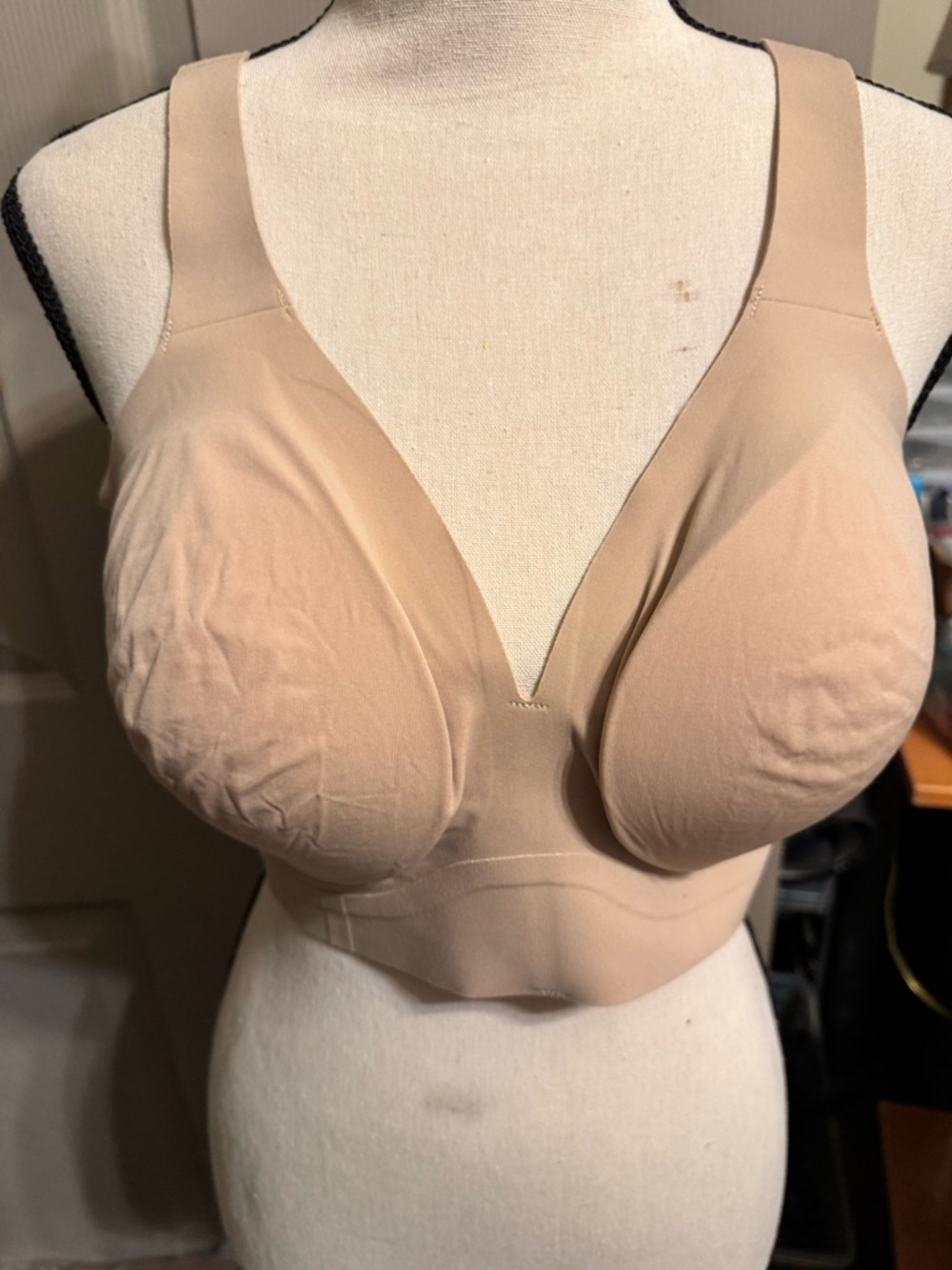 Evelyn & Bobbie plunge bra